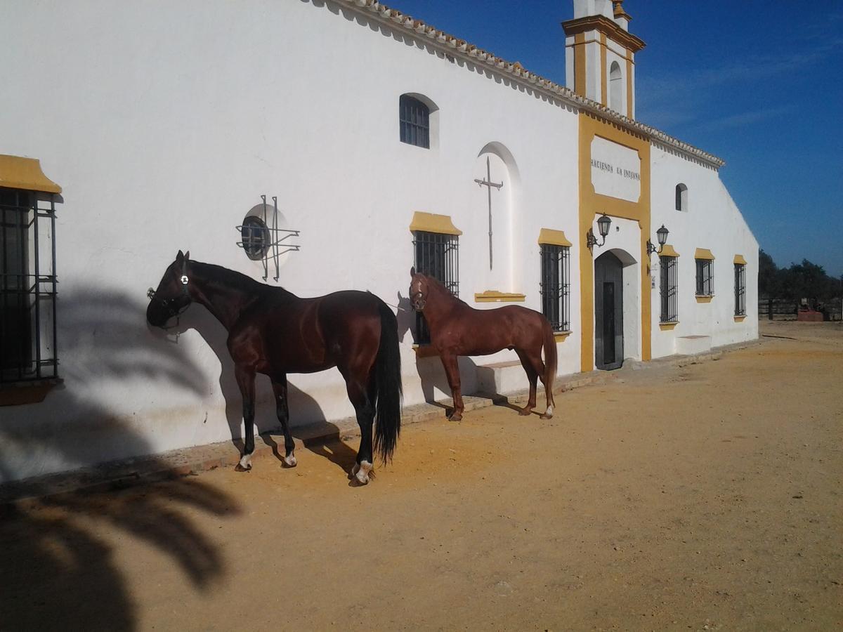 Hacienda La Indiana Otel Los Palacios Y Villafranca Dış mekan fotoğraf